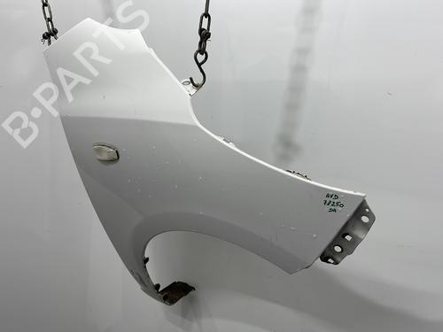 Right front fenders HYUNDAI i10 I (PA) 1.1 | BP30329510C42
