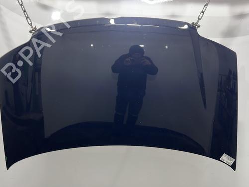 Motorhjelm FIAT PANDA (169_) 1.2 LPG (169CXF1A) (69 hp) 31216216