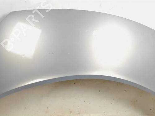 Hood RENAULT SCÉNIC II (JM0/1_) 1.6 (JM0C, JM0J, JM1B) | BP20421642C1 