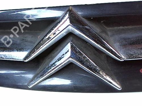 Grille CITROËN XSARA PICASSO (N68) 2.0 HDi | BP20473871C40 