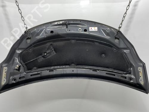 hood-suzuki-alto-vii-gf-10-amf310-gfc31s-57300m68k00000-2009-20416593 main image