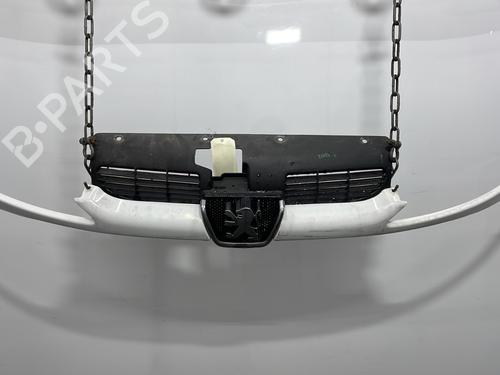 Grill PEUGEOT 206 Hatchback (2A/C) 2.0 HDI 90 (90 hp) 30689334
