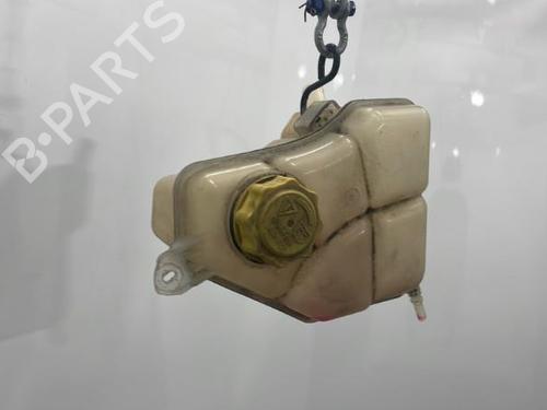 Expansion tank FORD FIESTA V (JH_, JD_) 1.4 TDCi | BP20419817C120 