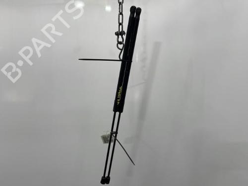 Used Tailgate lift support RENAULT MEGANE III Coupe (DZ0/1_) 1.6 dCi (DZ00, DZ12, DZ2A, DZ13) (130 hp) 20445051