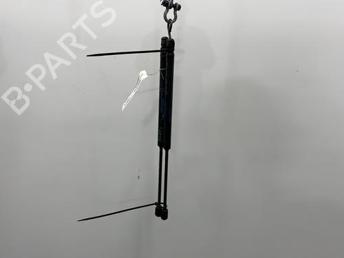 Used Tailgate lift support CITROËN C3 I (FC_, FN_) 1.4 HDi (68 hp) 21184965