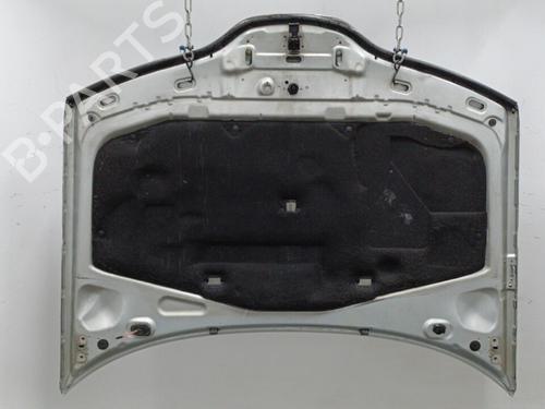 Hood RENAULT LAGUNA II Grandtour (KG0/1_) 1.9 dCi (KG0G) | BP20451183C1 
