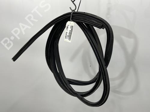 Rubber door seal RENAULT SCÉNIC I MPV (JA0/1_, FA0_) 1.9 dTi (JA0N) | BP28198541C142 