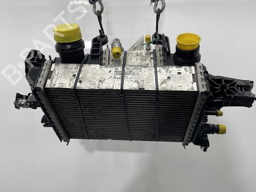 Intercooler DACIA SANDERO II 1.5 Blue dCi 95 (B8JL) | BP31027993M30