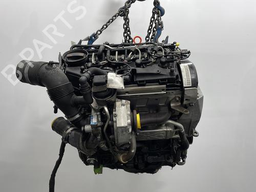 Engine SEAT IBIZA IV (6J5, 6P1) 1.6 TDI | BP29638768M1 