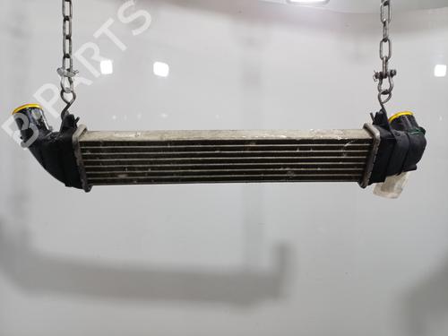 Intercooler DACIA LOGAN MCV (KS_) 1.5 dCi (KS0K) | BP35969750M30 - Image 6