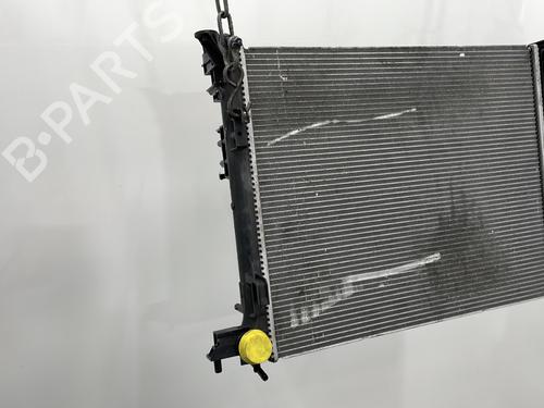 Køler RENAULT SCÉNIC IV (J9_) 1.5 dCi 110 | BP24473807M31 