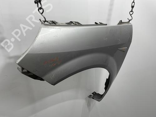 Left front fenders RENAULT GRAND SCÉNIC II (JM0/1_) 1.9 dCi (JM14) | BP22102576C41 