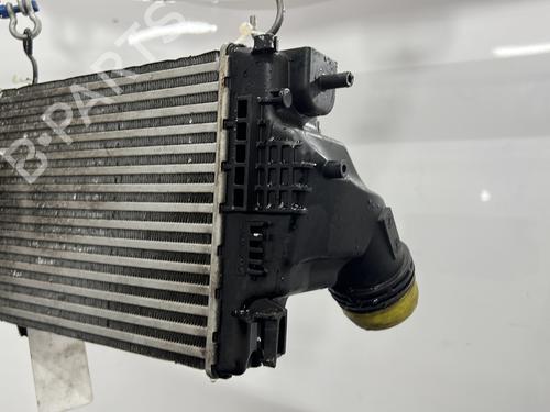 Intercooler RENAULT KOLEOS II (HC_) 1.6 dCi 130 | BP30115551M30
