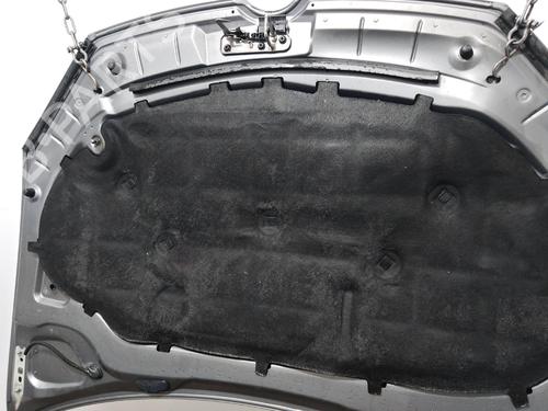 hood-vw-golf-vi-5k1-2008-2009-2010-2011-2012-2013-2014-40224798 main image