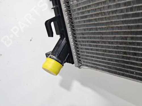 Water radiator DACIA SANDERO III 1.0 SCe 65 | BP40116310M31 - Image 6