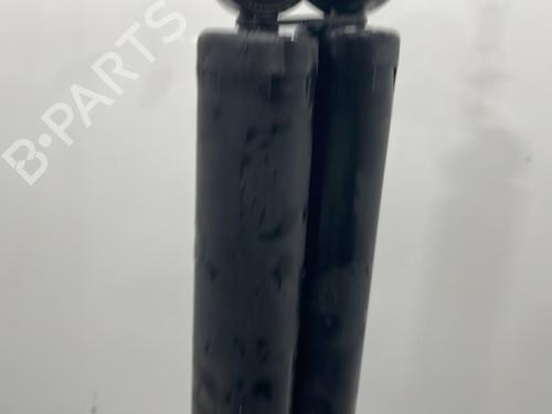 BP20481354M19 main image