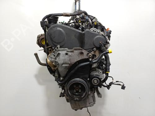 Engine VW GOLF VI (5K1) 2.0 TDI | BP39393288M1  - Image 7