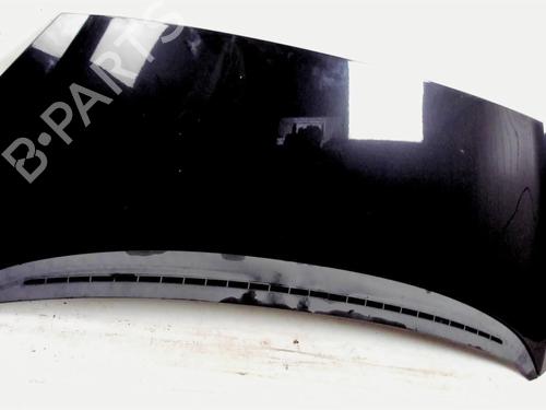 Hood PEUGEOT 1007 (KM_) 1.4 HDi | BP20391148C1