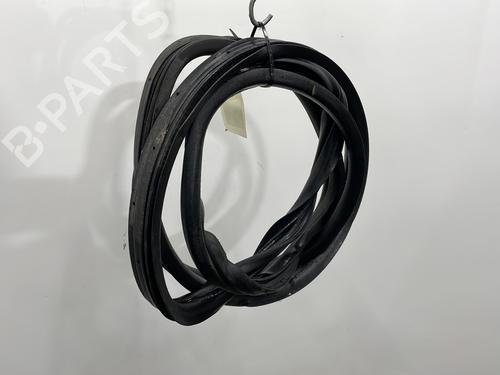 Rubber door seal FIAT DUCATO Van (250_) 150 Multijet 2,3 D | BP29545067C142 