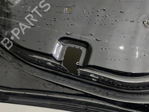 Right front door LAND ROVER RANGE ROVER SPORT I (L320) 3.6 D 4x4 | BP25773854C3 