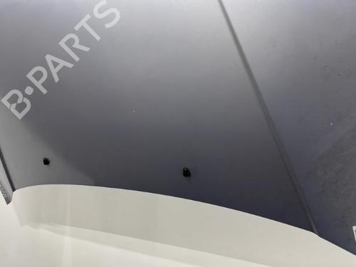 Hood HYUNDAI GETZ (TB) 1.1 | BP20439648C1 