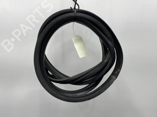 Used Rubber door seal LANCIA YPSILON (843_) 1.3 JTD (843.AXD11, 843.AXD1A) (70 hp) 20418003
