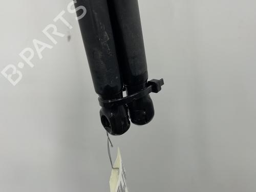Gassdemper Bakluke FORD FOCUS II (DA_, HCP, DP) 1.8 TDCi | BP23778954C138 