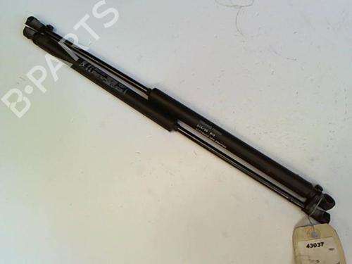 Used Tailgate lift support FIAT GRANDE PUNTO (199_) 1.9 D Multijet (130 hp) 20412295