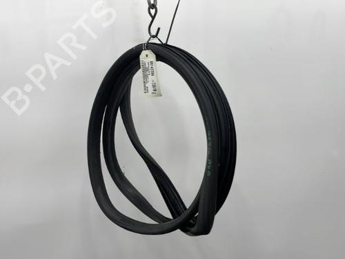 Used Rubber door seal RENAULT SCÉNIC III (JZ0/1_) 1.5 dCi (110 hp) 20441234
