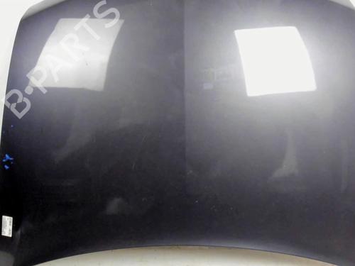 Hood RENAULT VEL SATIS (BJ0_) 2.2 dCi (BJ0E, BJ0F, BJ0G, BJ0H) | BP20421054C1 