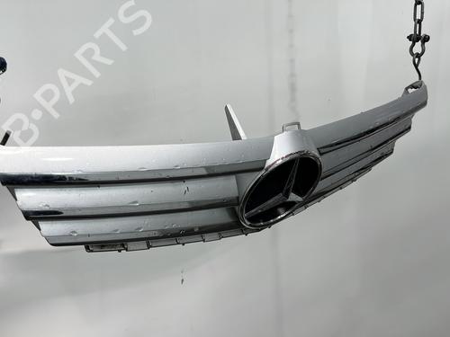 Grille MERCEDES-BENZ A-CLASS (W169) A 180 CDI (169.007, 169.307) | BP29749583C40 
