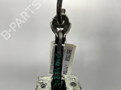 Hinge/Door check strap FIAT GRANDE PUNTO (199_) 1.3 D Multijet | BP21062388C146 