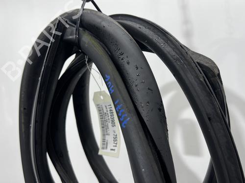 Rubber door seal MINI MINI (R56) Cooper D | BP30115713C142