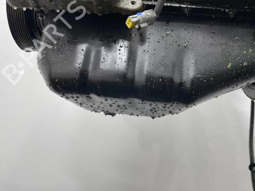 Engine RENAULT CLIO III (BR0/1, CR0/1) 1.2 16V Hi-Flex (BR1U, CR1U) | BP29545044M1 