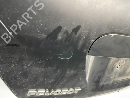 Tailgate PEUGEOT 207 (WA_, WC_) 1.4 HDi | BP20393264C6 