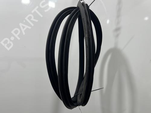 Rubber door seal MERCEDES-BENZ C-CLASS Coupe (CL203) C 220 CDI (203.708) | BP30136951C142