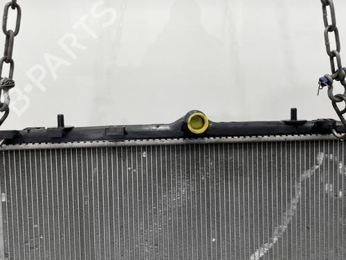 Used Water radiator Water radiator PEUGEOT 208 II (UB_, UP_, UW_, UJ_) 1.2 PureTech 100 (101 hp) 23779434 23779434