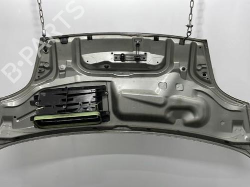 Hood OPEL VIVARO A Van (X83) 2.0 CDTI (F7) | BP20418389C1