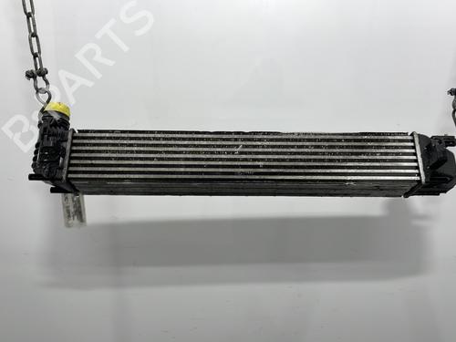 Intercooler RENAULT MEGANE CC (EZ0/1_) 1.9 dCi (EZ0J, EZ1S) | BP31139261M30