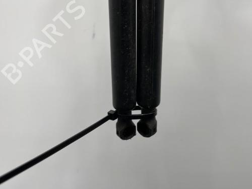 Used Tailgate lift support Tailgate lift support RENAULT SCÉNIC III (JZ0/1_) 1.6 dCi (JZ00, JZ12) (130 hp) 20420560 20420560