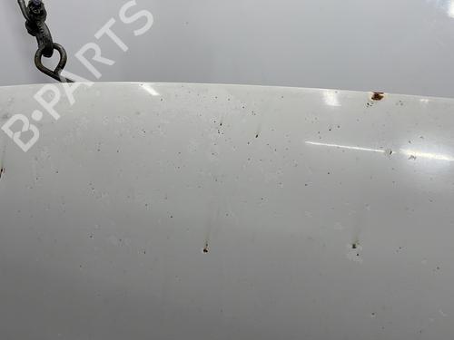 Hood VW CADDY III Box Body/MPV (2KA, 2KH, 2CA, 2CH) 2.0 SDI | BP29922083C1