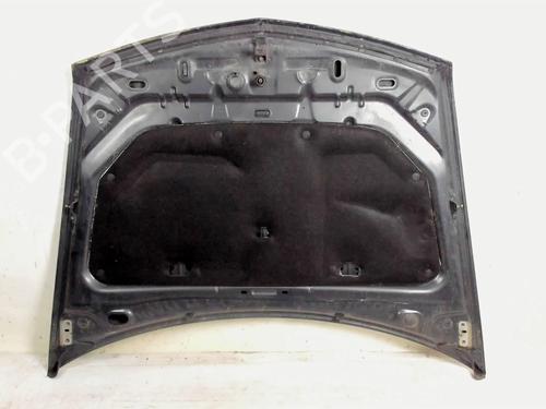 Hood RENAULT VEL SATIS (BJ0_) 2.2 dCi (BJ0E, BJ0F, BJ0G, BJ0H) | BP20421054C1 