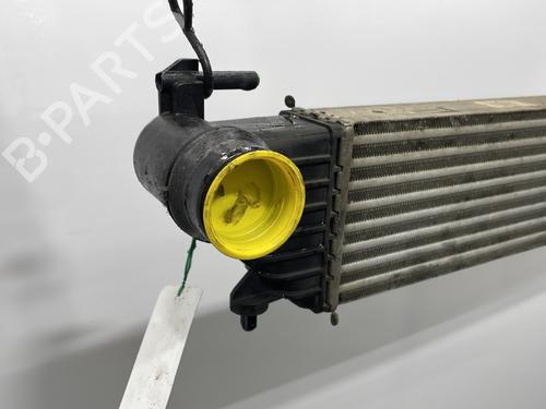 Intercooler FIAT 500L (351_, 352_) 1.3 D Multijet (199LXY1A, 199LXY11) | BP30479925M30 - Image 3