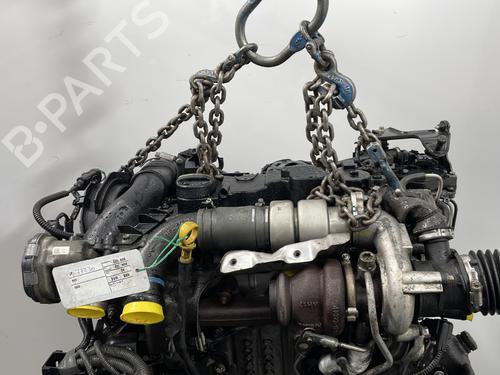Engine FORD FIESTA VI (CB1, CCN) 1.6 TDCi | BP30822524M1
