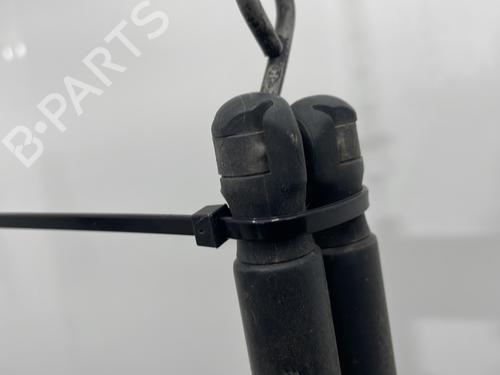 Tailgate lift support FORD FOCUS II (DA_, HCP, DP) 1.6 TDCi | BP29491183C138 