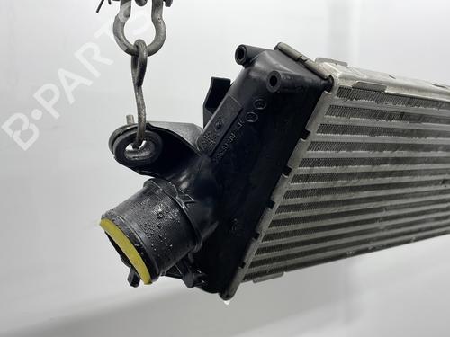 Used Intercooler Intercooler RENAULT TRAFIC II Van (FL) 2.0 dCi 90 (FL0H, FL00, FL01, FL0M, FL0P, FL0S) (90 hp) 23780034 23780034