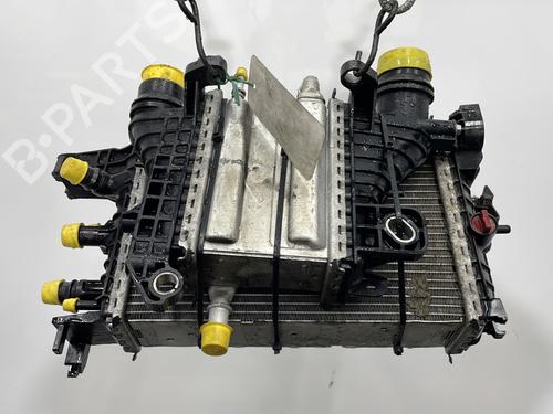 Used Intercooler DACIA SANDERO II 1.5 Blue dCi 95 (B8JL) (95 hp) 31027993