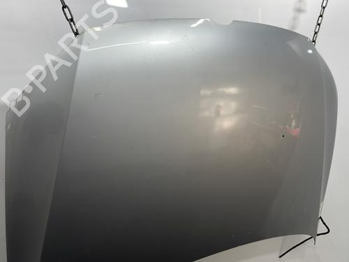 Hood VW POLO V (6R1, 6C1) 1.6 TDI | BP29625634C1 