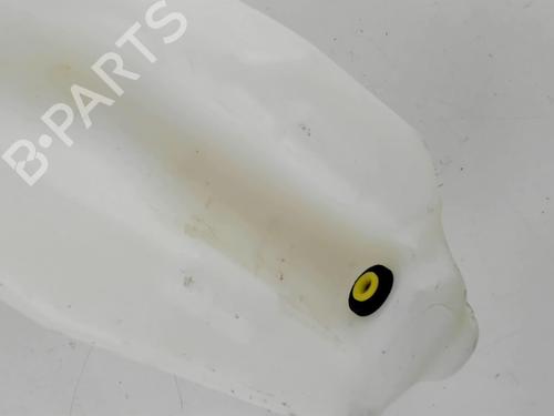 Windscreen washer tank FIAT PANDA (169_) 1.2 (169AXF2A, 169AXF1A) | BP20398487C113 