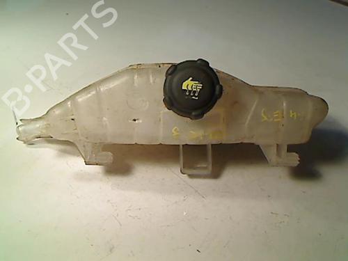 Used Expansion tank RENAULT CLIO III (BR0/1, CR0/1) 1.4 16V (98 hp) 20435886